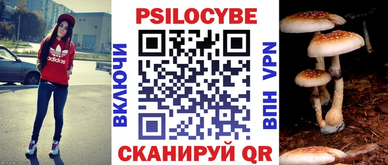 Псилоцибиновые грибы прущие грибы  цены   Североморск 